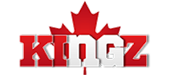Partner link logo – gamblingkingz.com